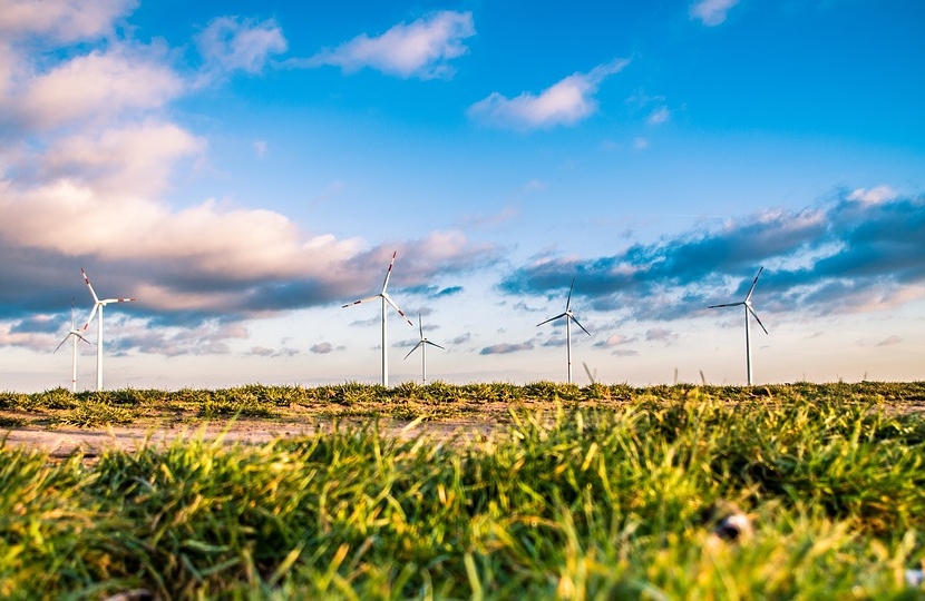 Wind Farm 