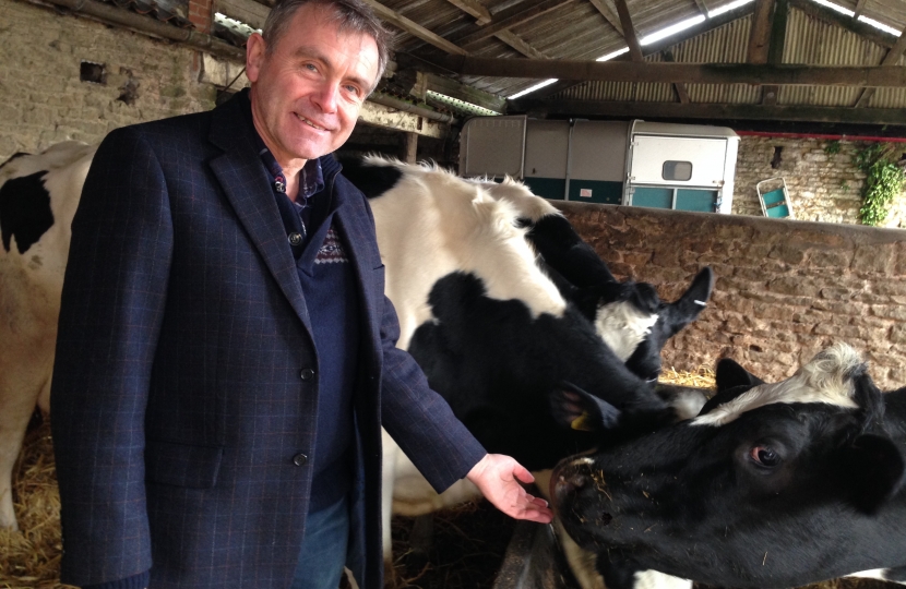 New funding to support dairy farmers through coronavirus